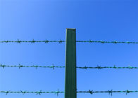 Barrière de sécurité enduite de vert de barbelé de PVC Lowa sur le dessus de barrière de maillon de chaîne