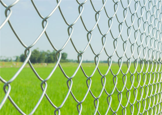 Acier galvanisé résistant maillon de chaîne de 1.8m x de 25m clôturant la maille